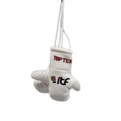 TOP TEN Mini Boksehansker ITF