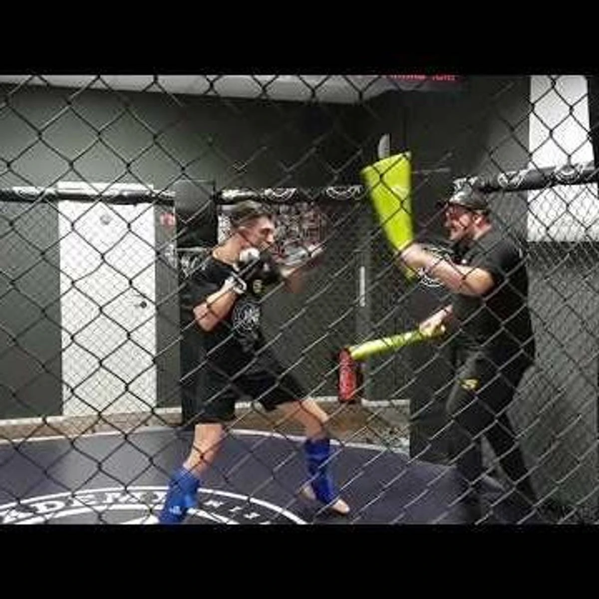 TOP TEN Universal Treningspinne - Bilde 2